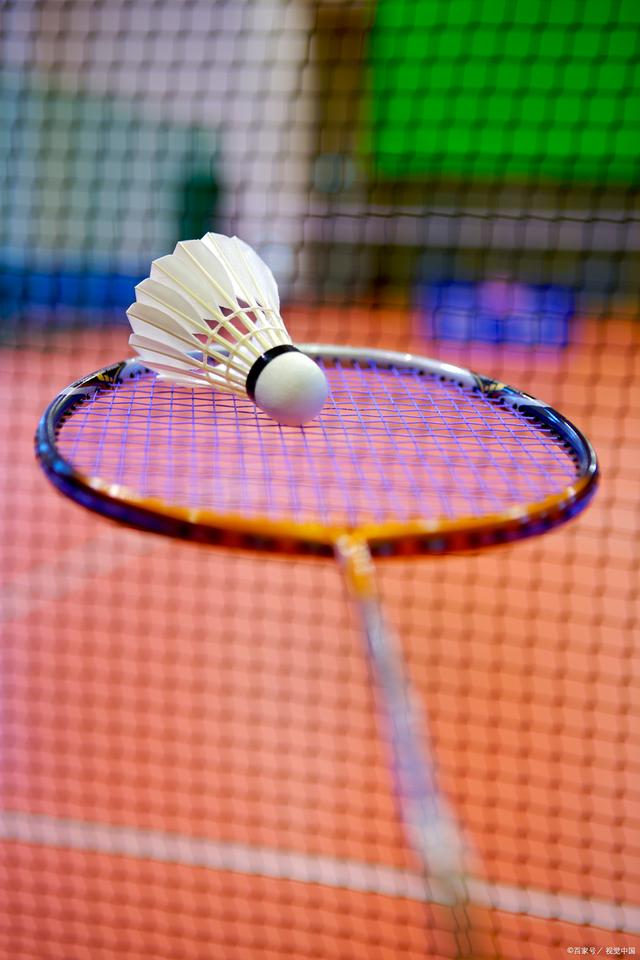 多战术潜能 多战术潜能