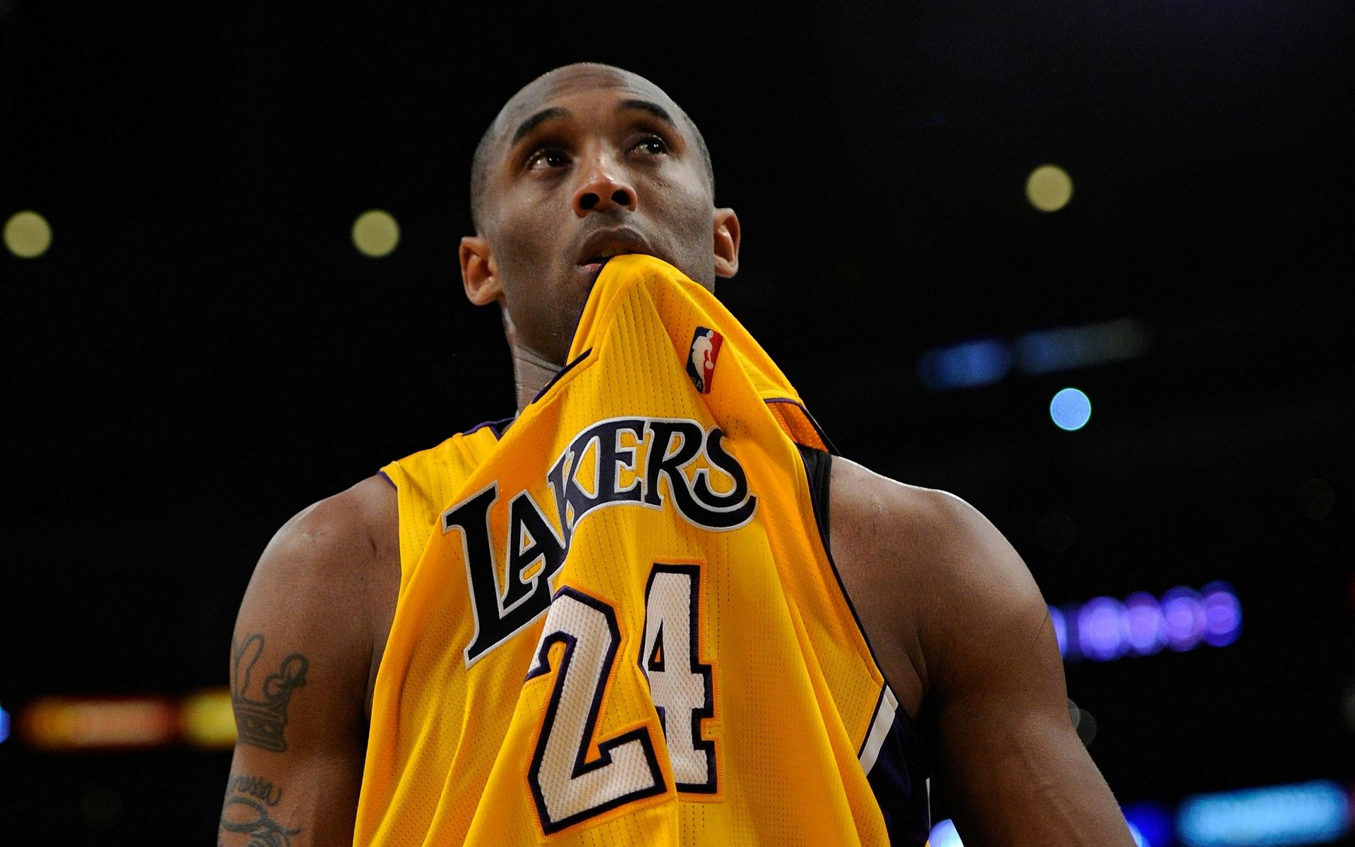 维亚队的反 维亚队的反