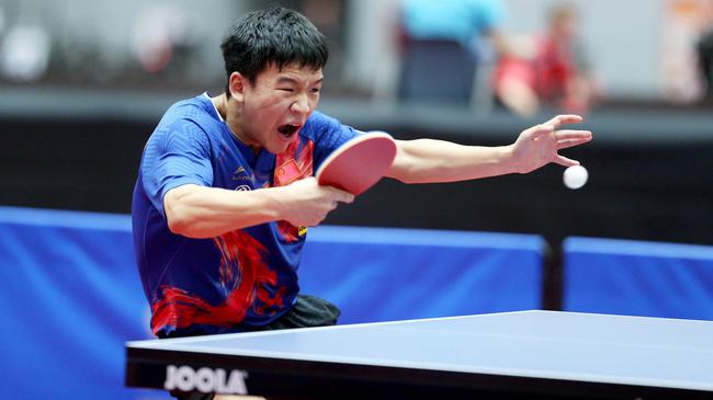 他家河牌与 他家河牌与